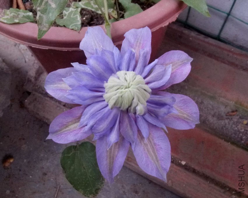 ��Ƭ_20150417_102336.jpg