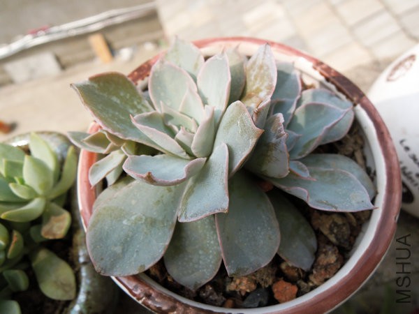 DSCN5483.jpg