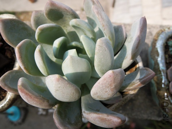 DSCN5485.jpg