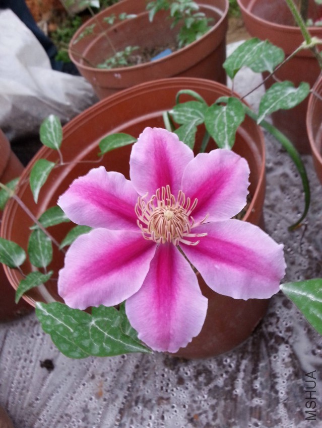 20150326_173629.jpg
