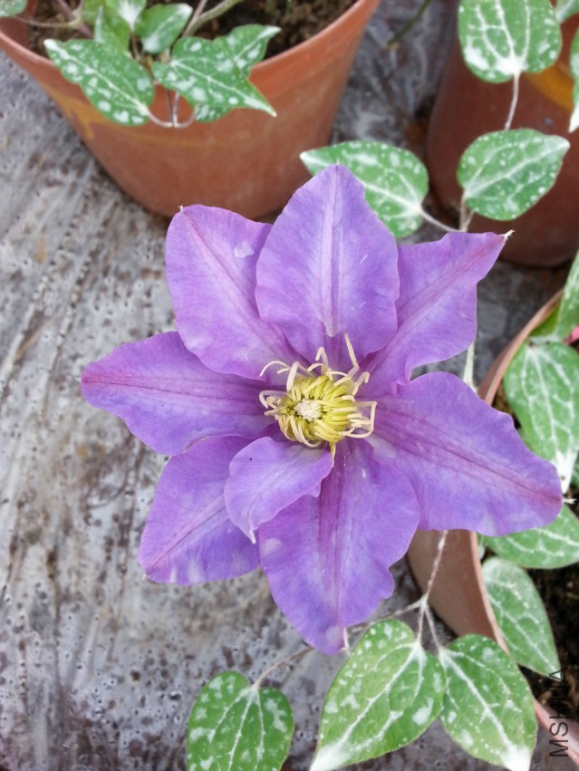 20150330_160728.jpg