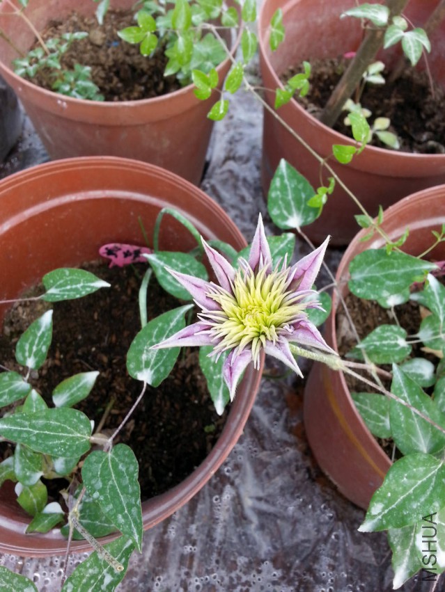 20150330_160830.jpg