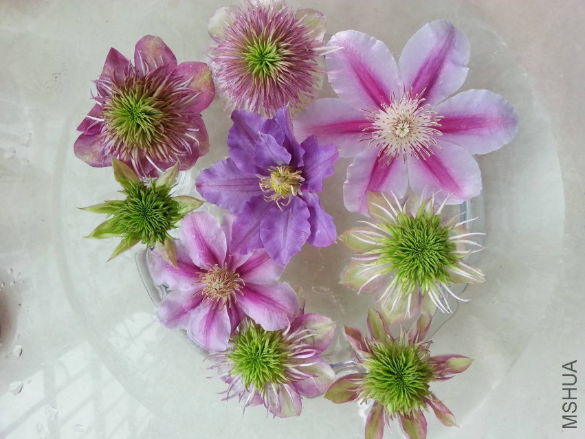 20150330_165117.jpg