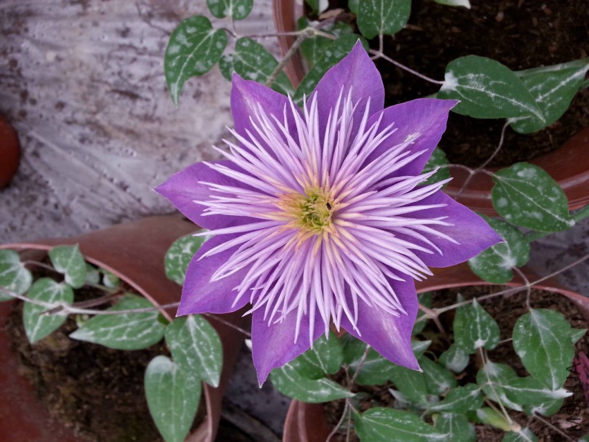 20150402_072857.jpg