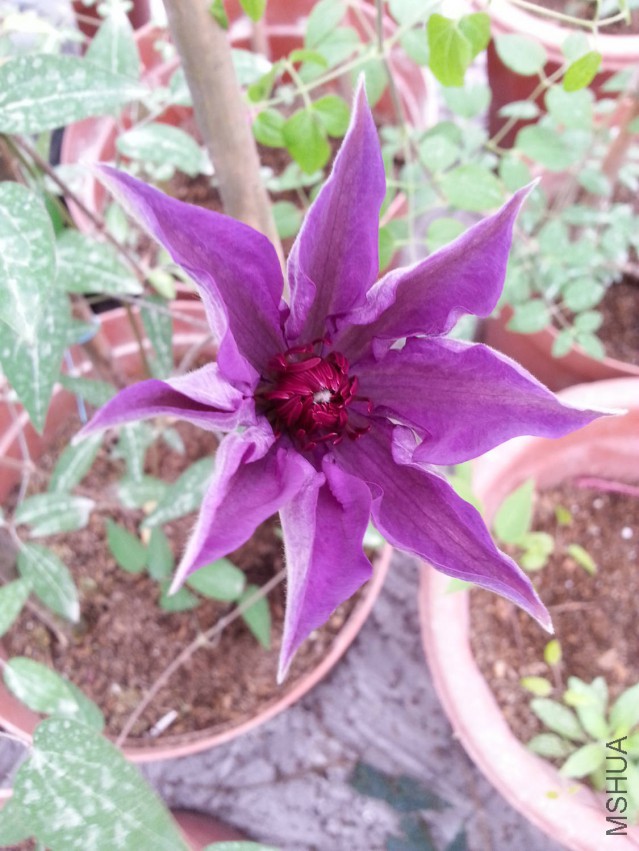 20150402_073302.jpg