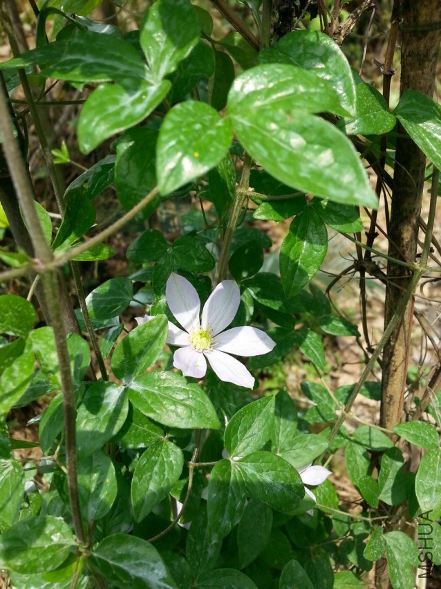 20150412_121848.jpg