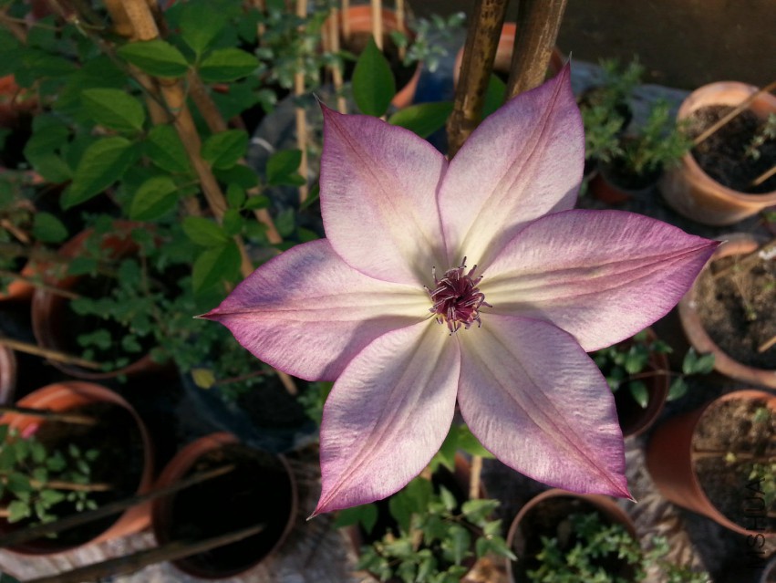 20150414_073822.jpg