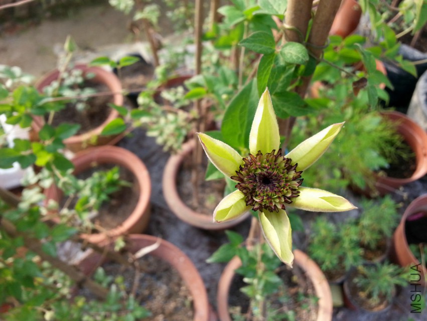 20150416_073339.jpg