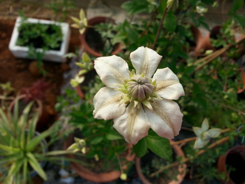 20150416_073350.jpg