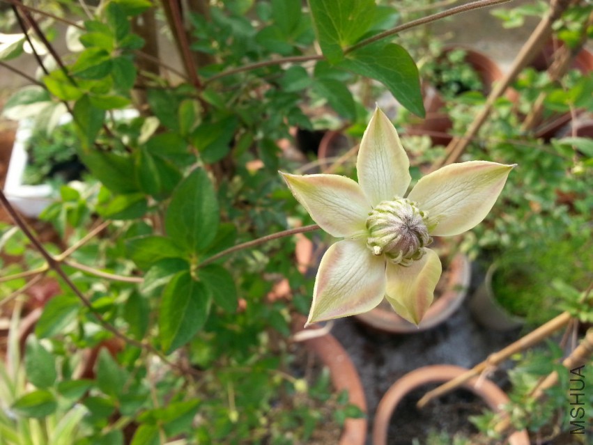 20150416_073358.jpg