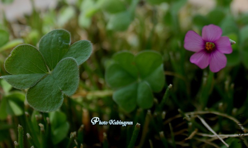 �컨�� �Խ�����ôƫ�ˣ���