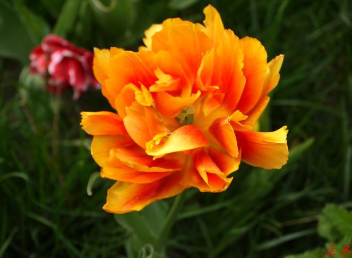 P1100001.jpg