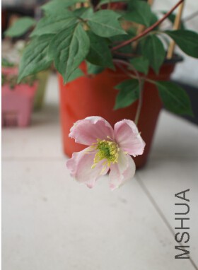QQ��ͼ20150418084515.jpg