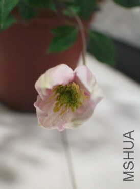 QQ��ͼ20150418084459.jpg