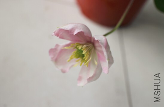 QQ��ͼ20150418084523.jpg