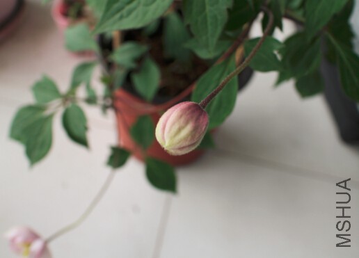 QQ��ͼ20150418084541.jpg