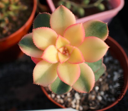 QQ��ͼ20150418084307.jpg