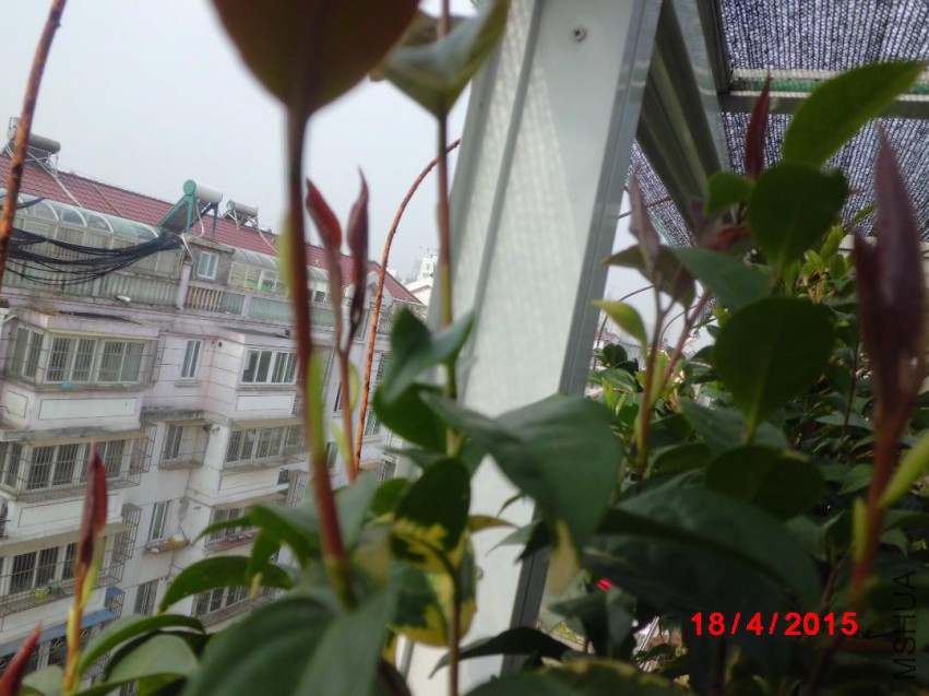 CIMG6060.JPG