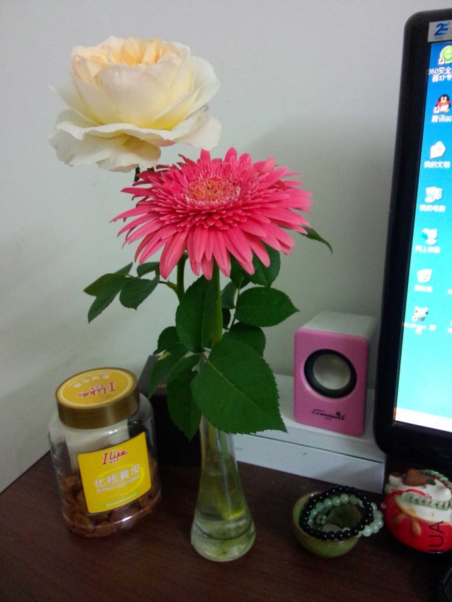 IMG20150413192745.jpg