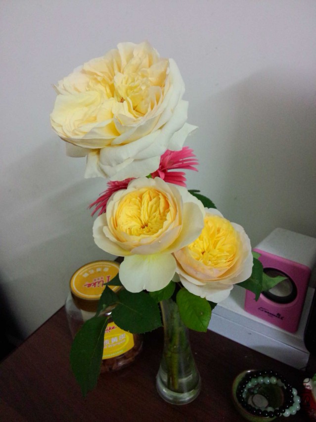 IMG20150416192213.jpg