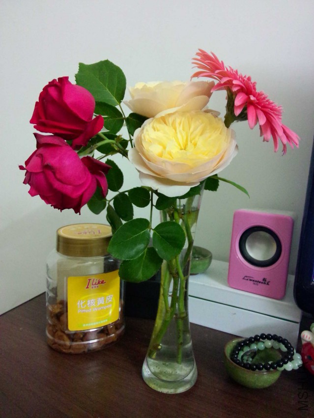 IMG20150417194851.jpg