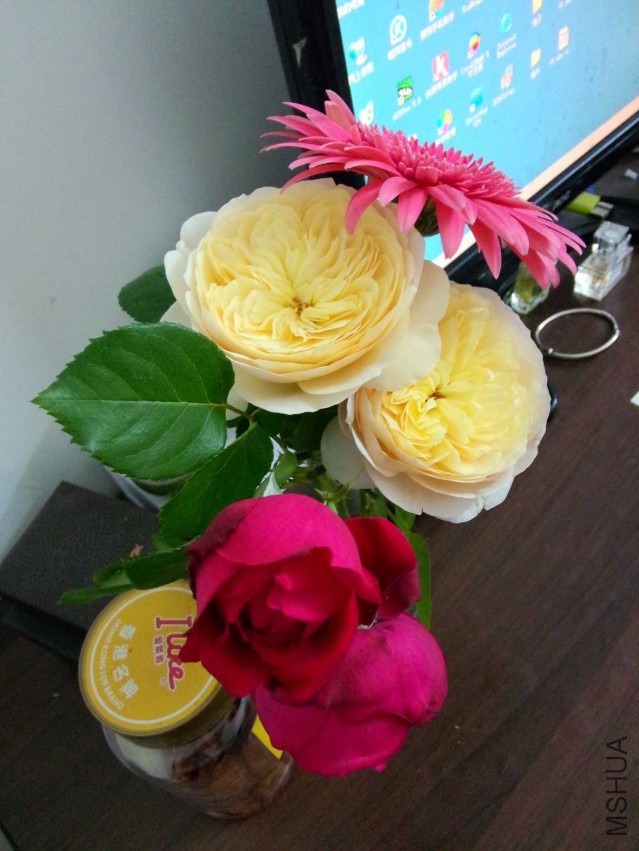 IMG20150417195036.jpg