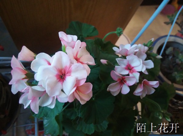 IMG_20150228_171445.jpg