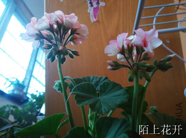 IMG_20150228_171520.jpg