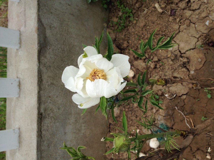 QQͼƬ20150418003.jpg