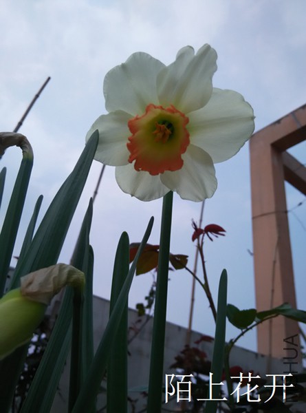 IMG_20150327_134629.jpg
