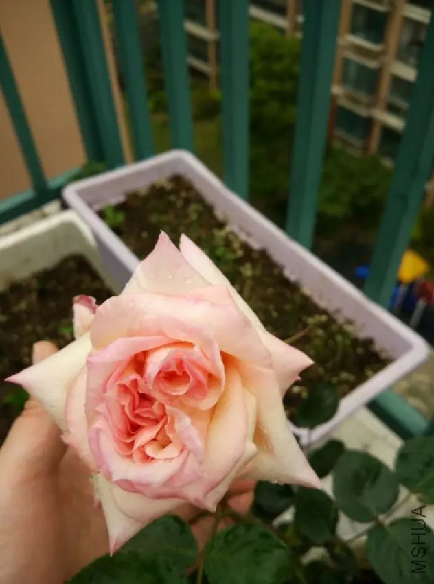 ��U�г���