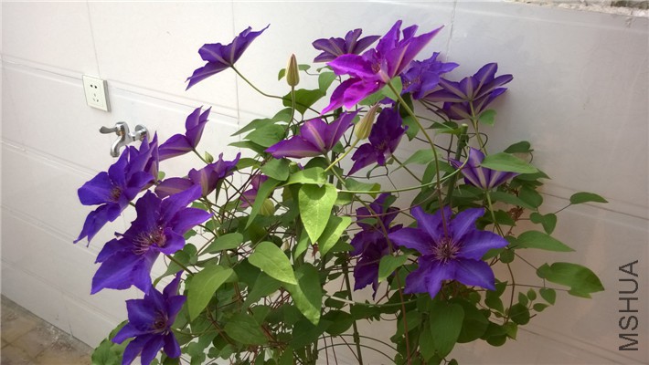 WP_20150417_001.jpg
