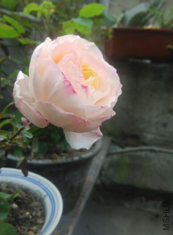 QQͼƬ20150418112658.jpg