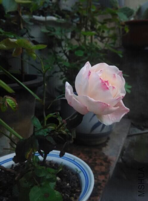QQͼƬ20150418112600.jpg