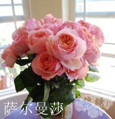 84a632628535e5dd5c89883872c6a7efcf1b6211.jpg
