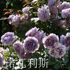 725c7c504fc2d5623cadfd0ae31190ef77c66c11.jpg