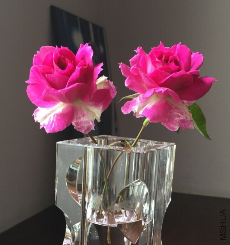 QQͼƬ20150418125438.jpg
