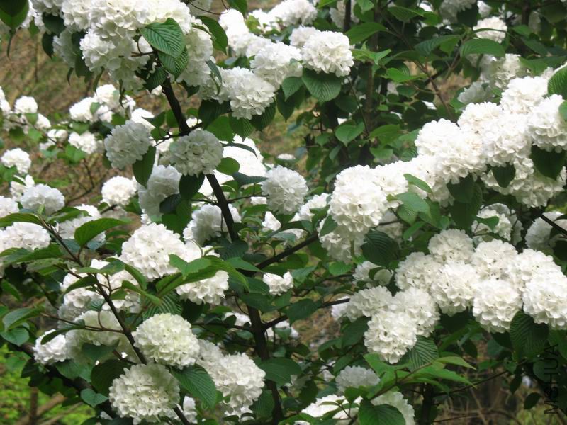 �����ҵ���һ����Ƭ��