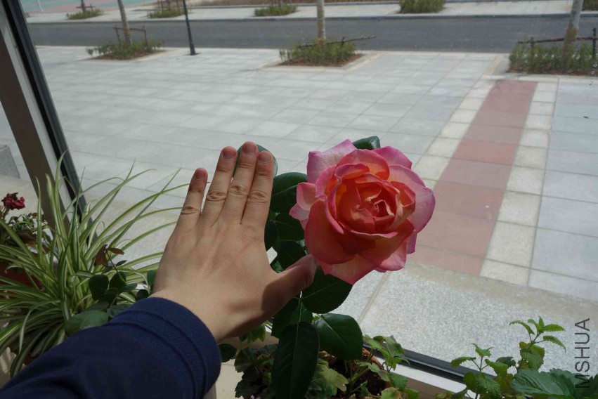 DSC02382.JPG