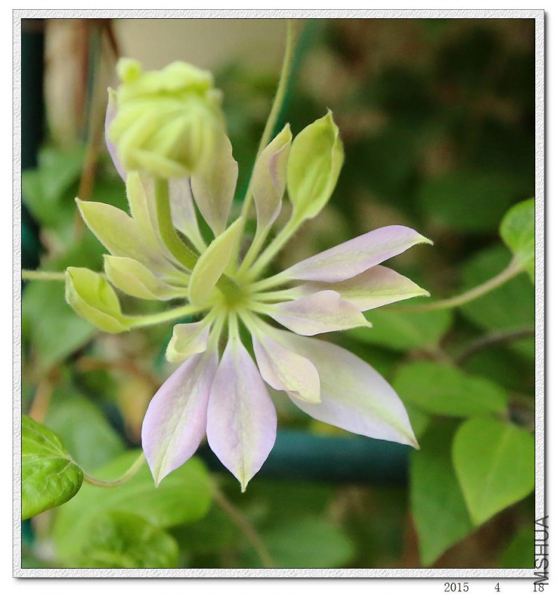 2015041803.jpg