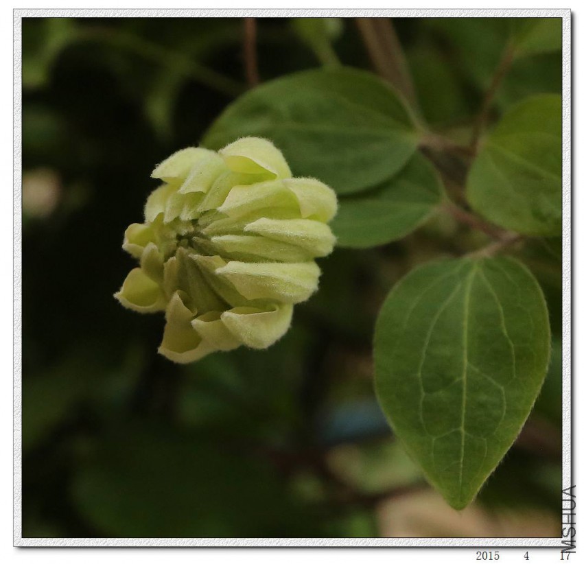 2015041705.jpg