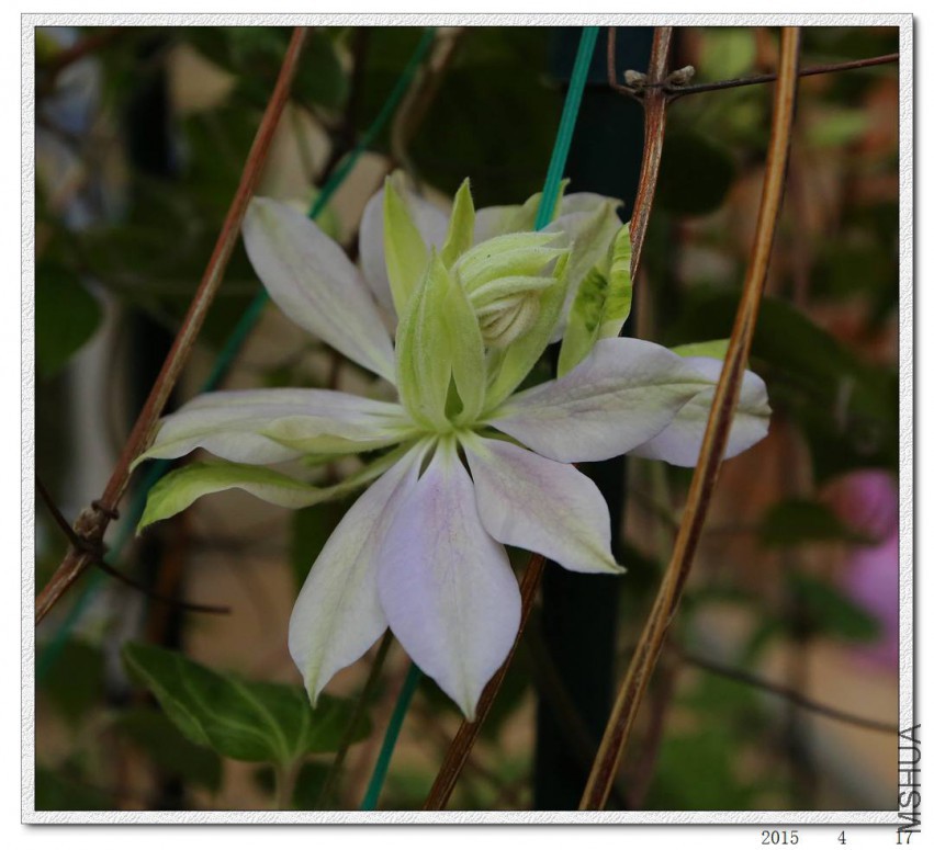 2015041704.jpg