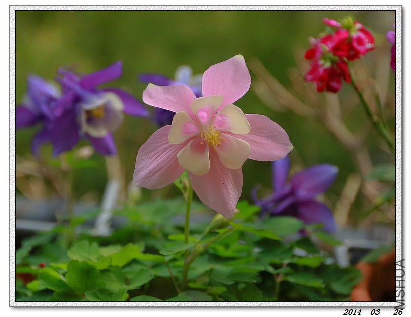 2014032605.jpg