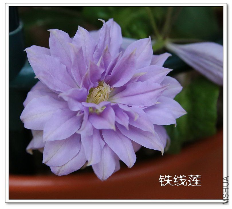 2013042502.jpg