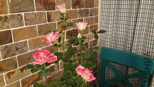 20150418_193150_LLS.jpg