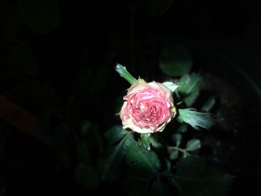 QQͼƬ20150418195624.jpg