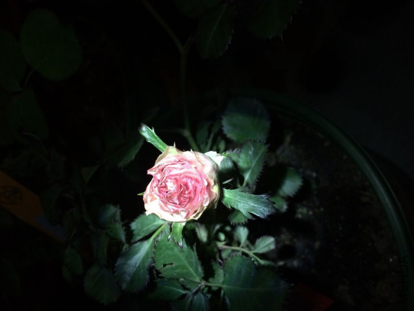 QQͼƬ20150418195618.jpg