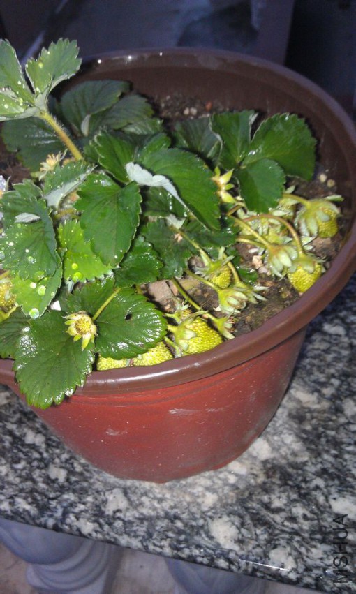 82f51ad5ad6eddc4accfcb353ddbb6fd536633d1.jpg