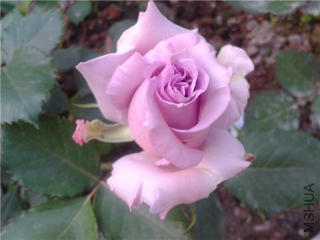2015-04-18 17.52.55.jpg