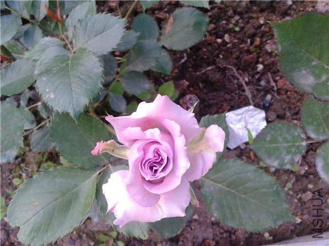 2015-04-18 17.54.06.jpg